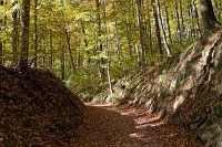 IMG_0804