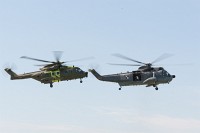 6N9K8731