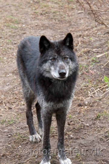 6N9K9078.jpg