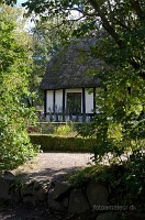 IMG_0512