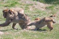 IMG_1773