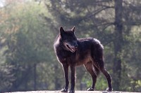 IMG_1925