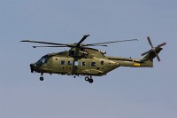 IMG_5460