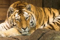 IMG_6161-03
