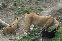 _MG_7697-01